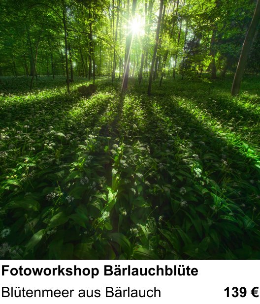 Motivorientierter Fotoworkshop mit dem Thema Fotoworkshop Bärlauchblüte: Blütenmeer aus Bärlauch