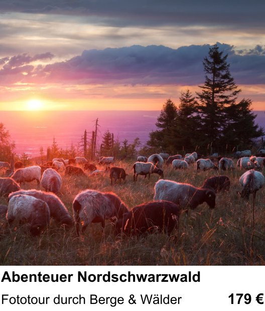 Motivorientierter Fotoworkshop mit dem Thema Abenteuer Nordschwarzwald: Fototour durch Berge & Wälder