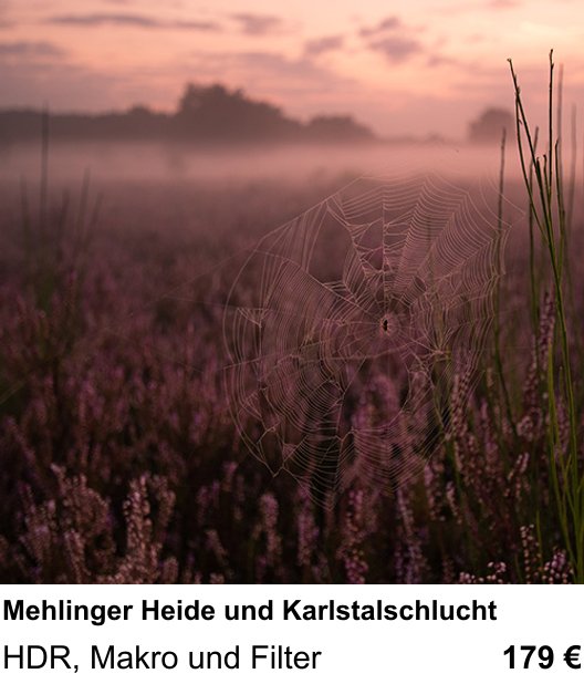 Motivorientierter Fotoworkshop mit dem Thema Mehlinger Heide und Karlstalschlucht: HDR, Makro und Filter