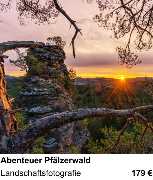 Motivorientierter Fotoworkshop mit dem Thema Abenteuer Pfälzerwald: Landschaftsfotografie