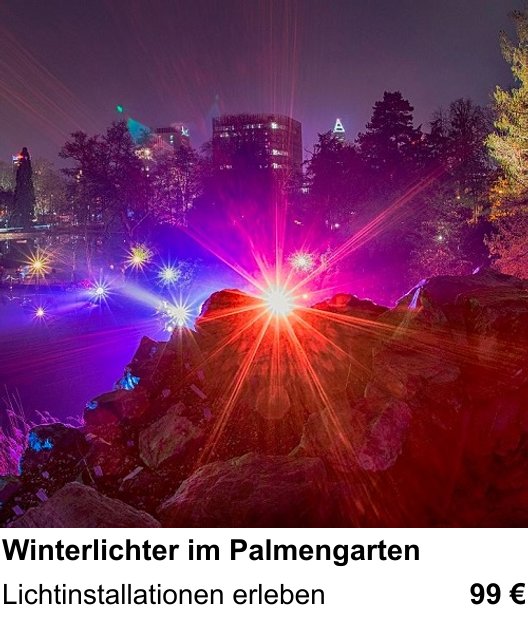 Motivorientierter Fotoworkshop mit dem Thema Winterlichter im Palmengarten: Lichtinstallationen erleben