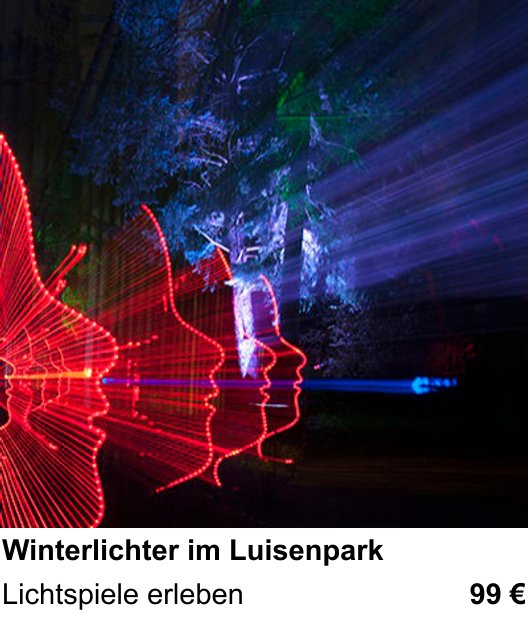 Motivorientierter Fotoworkshop mit dem Thema Winterlichter im Luisenpark: Lichtspiele erleben