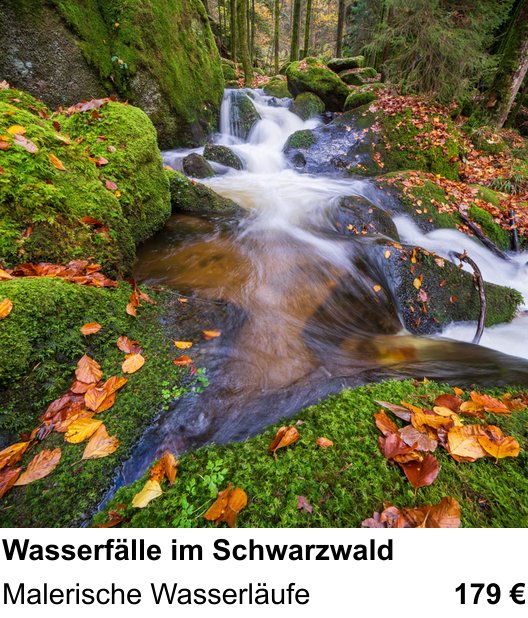 Motivorientierter Fotoworkshop mit dem Thema Wasserfälle im Schwarzwald: Malerische Wasserläufe