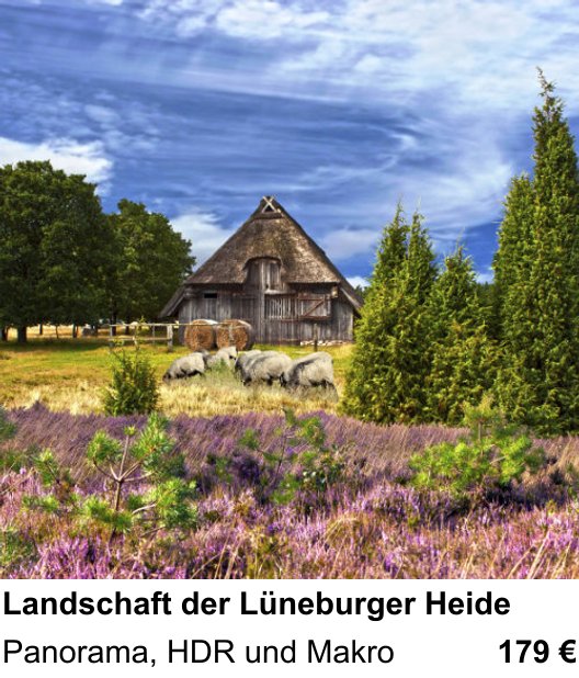 Motivorientierter Fotoworkshop mit dem Thema Landschaft der Lüneburger Heide: Panorama, HDR und Makro