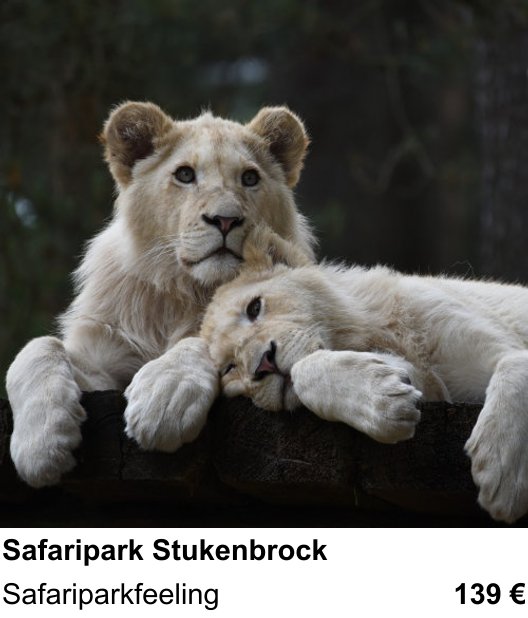 Motivorientierter Fotoworkshop mit dem Thema Safaripark Stukenbrock: Safariparkfeeling